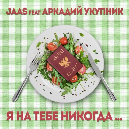 Я на тебе никогда…