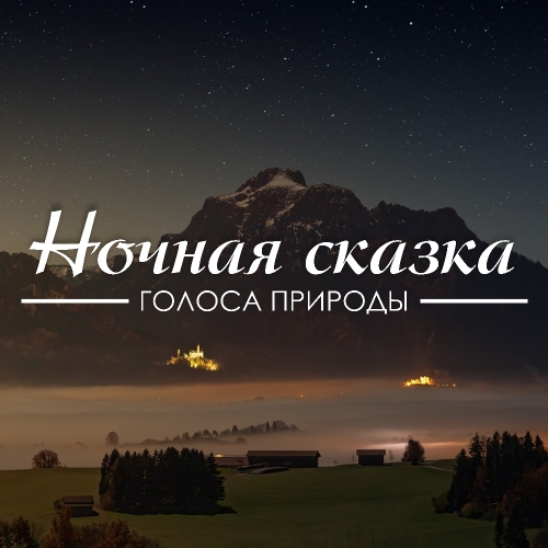 Ночная сказка