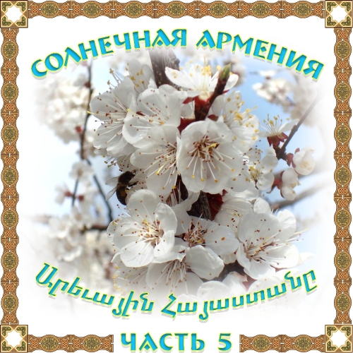 Солнечная Армения 5